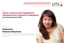 Трехуровневая иерархия поддержки пользователей МИС