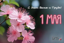 Весна цифровизации: расцветай с «ИТМ Петербург»