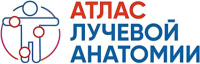 Объединенное ИТ Пространство, ООО
